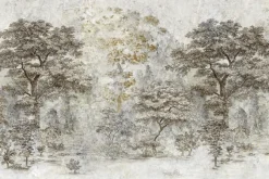 Fototapeta: Krajobraz lasu z drzewami na kamieniu