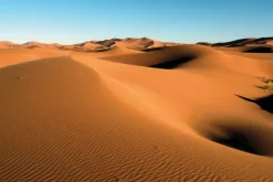 Fototapeta: Krajobraz piaszczystej pustyni