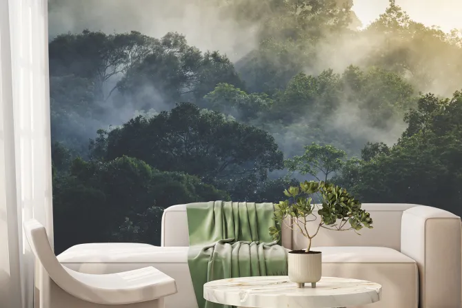 Fototapeta: Krajobraz tropikalnych lasów deszczowych we mgle