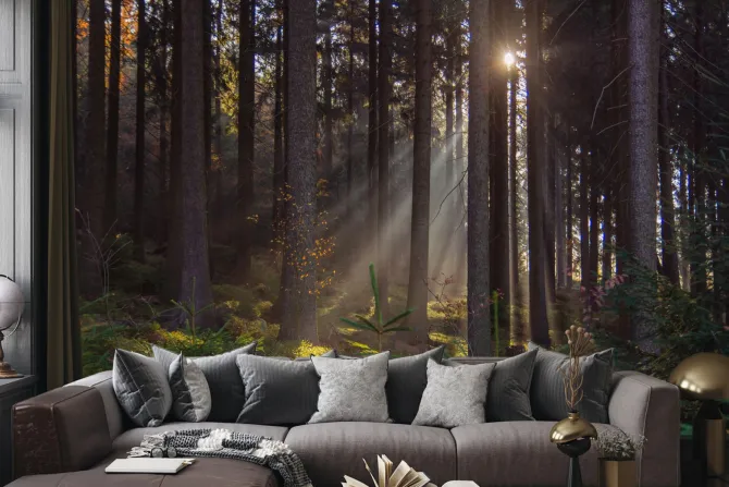 Fototapeta: Krajobraz wschód słońca w lesie