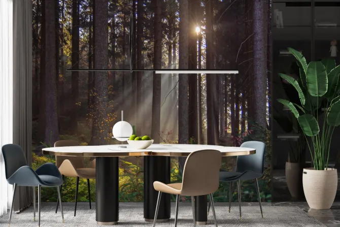 Fototapeta: Krajobraz wschód słońca w lesie