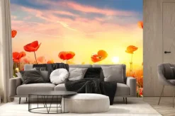 Fototapeta: Krajobraz z makami o zachodzie słońca