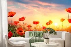 Fototapeta: Krajobraz z makami o zachodzie słońca