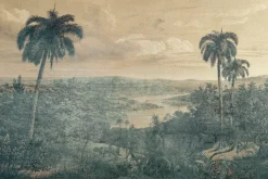 Fototapeta: Krajobraz z palmami w stylu vintage