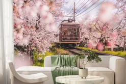 Fototapeta: Krajobraz z pociągiem i kwitnącą wiśnią w kioto