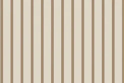 Fototapeta: Kształtny wzór w paski