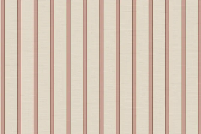 Fototapeta: Kształtny wzór w paski