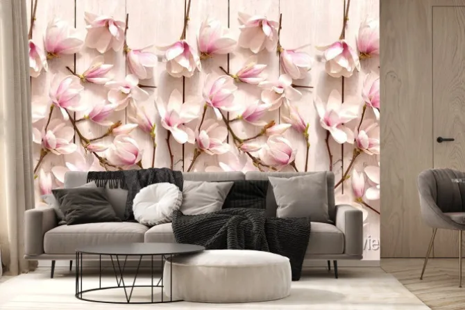 Fototapeta: Kwiat magnolii, kwiat, roślina, biała, beuty, galąź, drzewo magnolii,