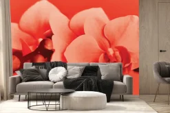 Fototapeta: Kwiat orchidei w czerwonych kolorach