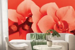 Fototapeta: Kwiat orchidei w czerwonych kolorach