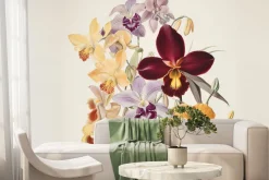 Fototapeta: Kwiaty kolorowych orchidei na jasnym tle