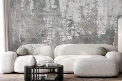 Fototapeta: Kwiaty maki na betonie