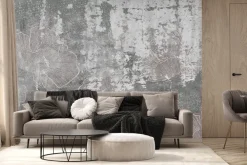 Fototapeta: Kwiaty maki na betonie