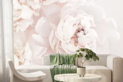 Fototapeta: Kwiaty piwonii w pastelowym kolorze