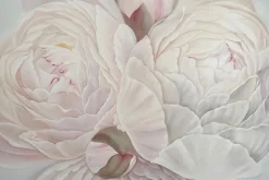 Fototapeta: Kwiaty piwonii w delikatnych kolorach różu
