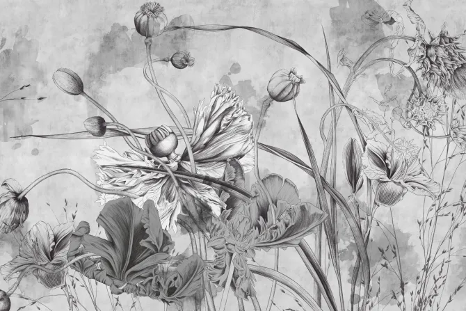 Fototapeta: Kwiaty polne w monochromatycznych barwach