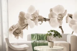 Fototapeta: Kwiaty storczyka w kolorach sepii