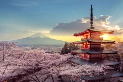 Fototapeta: Kwiaty wiśni z japońskim domem i górami