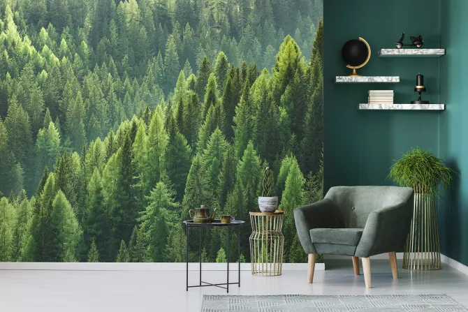 Fototapeta: Las iglasty krajobraz z lotu ptaka