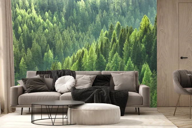 Fototapeta: Las iglasty krajobraz z lotu ptaka