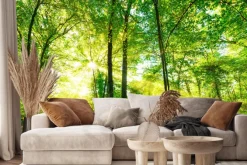 Fototapeta: Las skąpany w złotawym słońcu