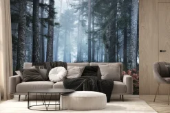 Fototapeta: Las sosnowy we mgle krajobraz