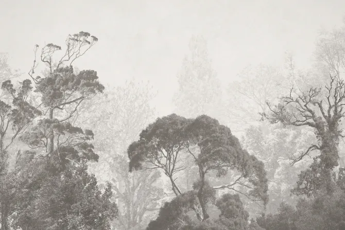 Fototapeta: Las w stylu vintage