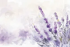 Fototapeta: Lawenda malowana akwarelą