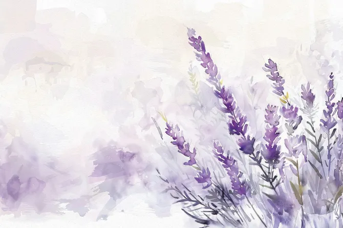 Fototapeta: Lawenda malowana akwarelą