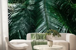 Fototapeta: Leaf beautiful in the tropical forest plant jungle - plam leaves