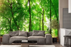 Fototapeta: Leśny krajobraz w słoneczny dzień