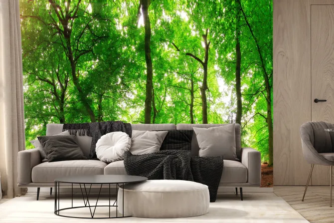 Fototapeta: Leśny krajobraz w słoneczny dzień