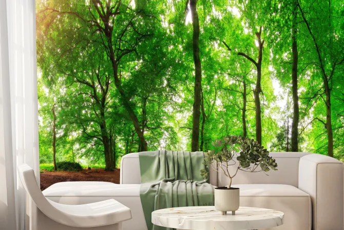 Fototapeta: Leśny krajobraz w słoneczny dzień