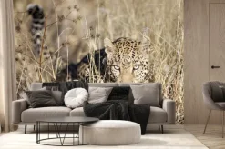 Fototapeta: Leopard poruszania się bushveld