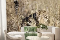 Fototapeta: Leopard poruszania się bushveld