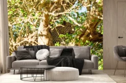 Fototapeta: Leopard ukrywanie na drzewie