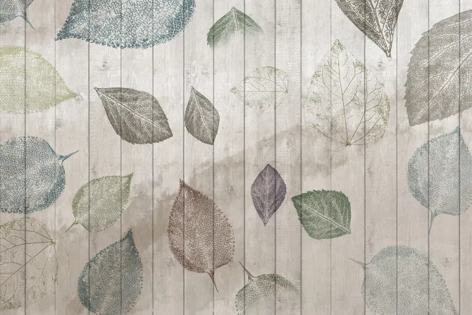 Fototapeta: Liście na drewnianym tle z desek styl rustykalny