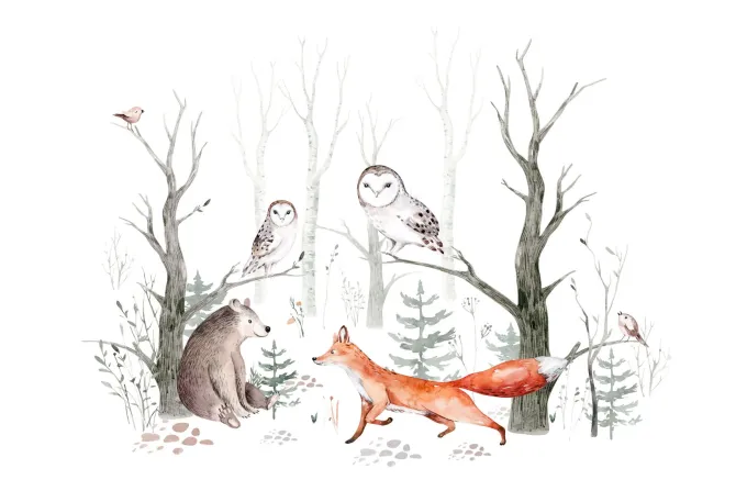 Fototapeta: Lis niedźwiadek i sowy w akwarelowym lesie