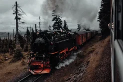 Fototapeta: Lokomotywa na torach wśród lasu