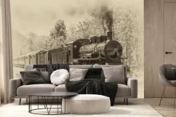 Fototapeta: Lokomotywa parowa w stylu vintage