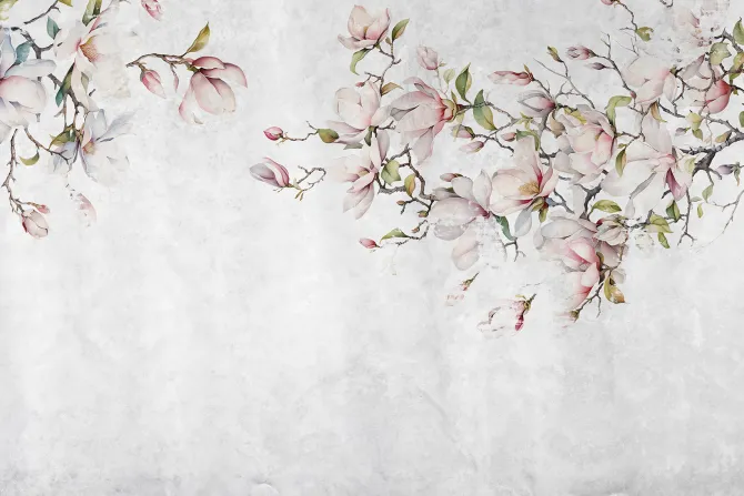 Fototapeta: Magnolia kwiaty na gałązkach drzewa na tle betonu