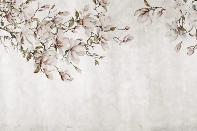 Fototapeta: Magnolia kwitnąca na betonowym murze