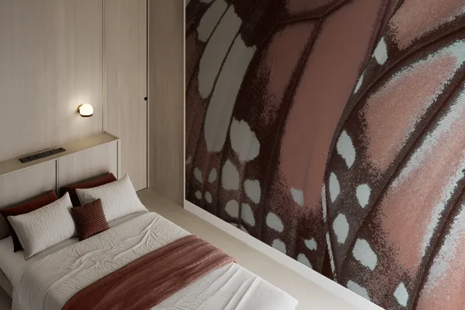 Fototapeta: Makro zbliżenie na teksturę skrzydła motyla szczegółowa fotografia