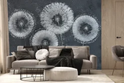 Fototapeta: Malowana białe dmuchawce na murze