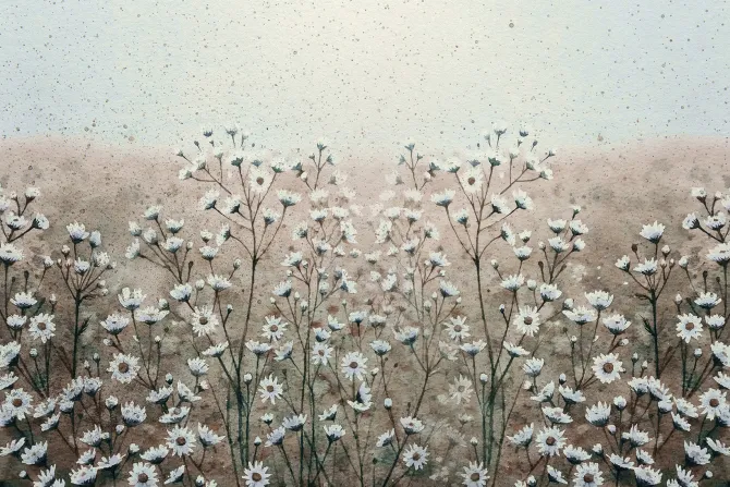 Fototapeta: Malowana łąka z kwiatami stokrotka