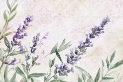 Fototapeta: Malowana lawenda akwarela