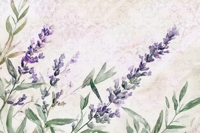 Fototapeta: Malowana lawenda akwarela