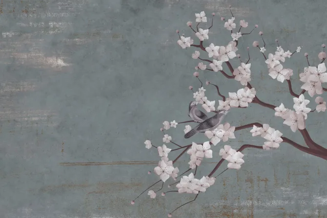 Fototapeta: Malowane białe kwiaty wiśni z ptakami na ścianie