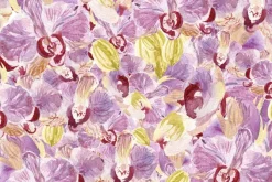 Fototapeta: Malowane kwiaty storczyków