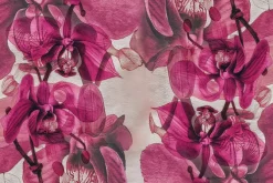 Fototapeta: Malowane przestrzenne orchidee na ścianie